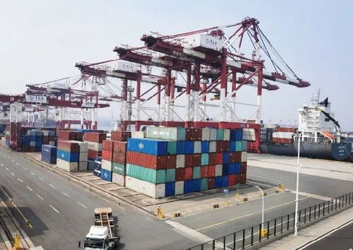 2021.02.26 輕松早茶 自營與代理貨物及技術(shù)進出口解析