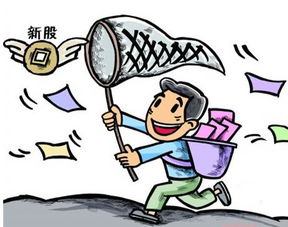 君禾股份(603617)中簽號查詢及進出口業(yè)務(wù)解析