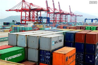 上海海關口岸通關效率與進口增幅雙提升，助力外貿高質量發展